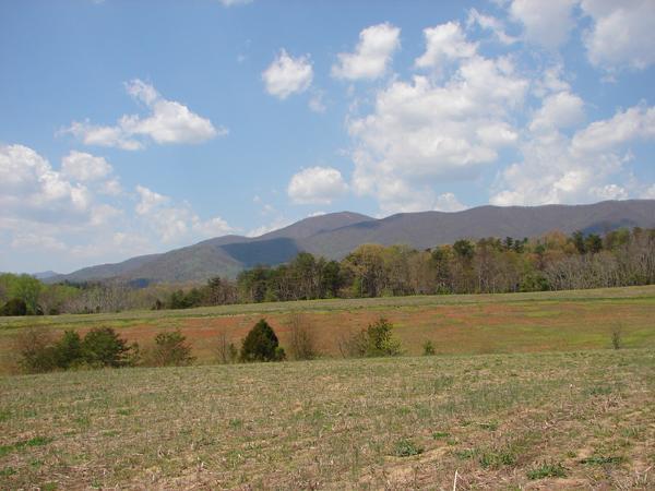 Lot 9 Green Level Road Rocky Mount, VA 24151 - Photo 1 of 1 Lots / Land
