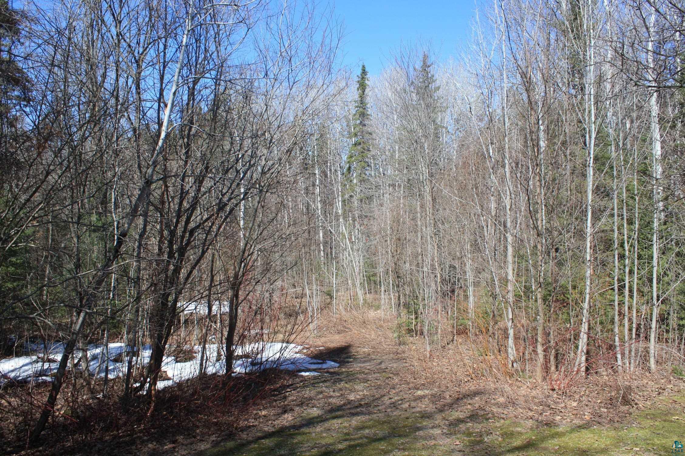 2950 Oulu Pioneer Road Brule, WI 54820 - Photo 7 of 67