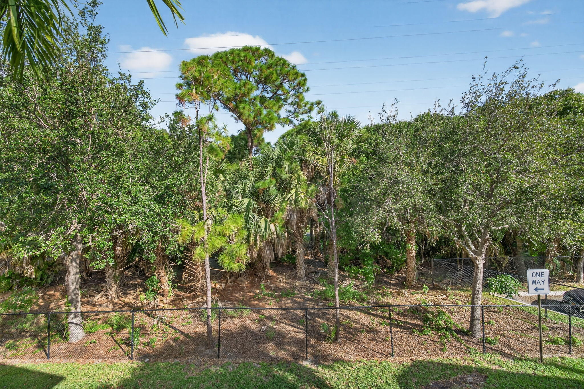 141 Seagrape Drive, Unit 203 Jupiter, FL 33458 - Photo 29 of 39 Preserve View from Balcony