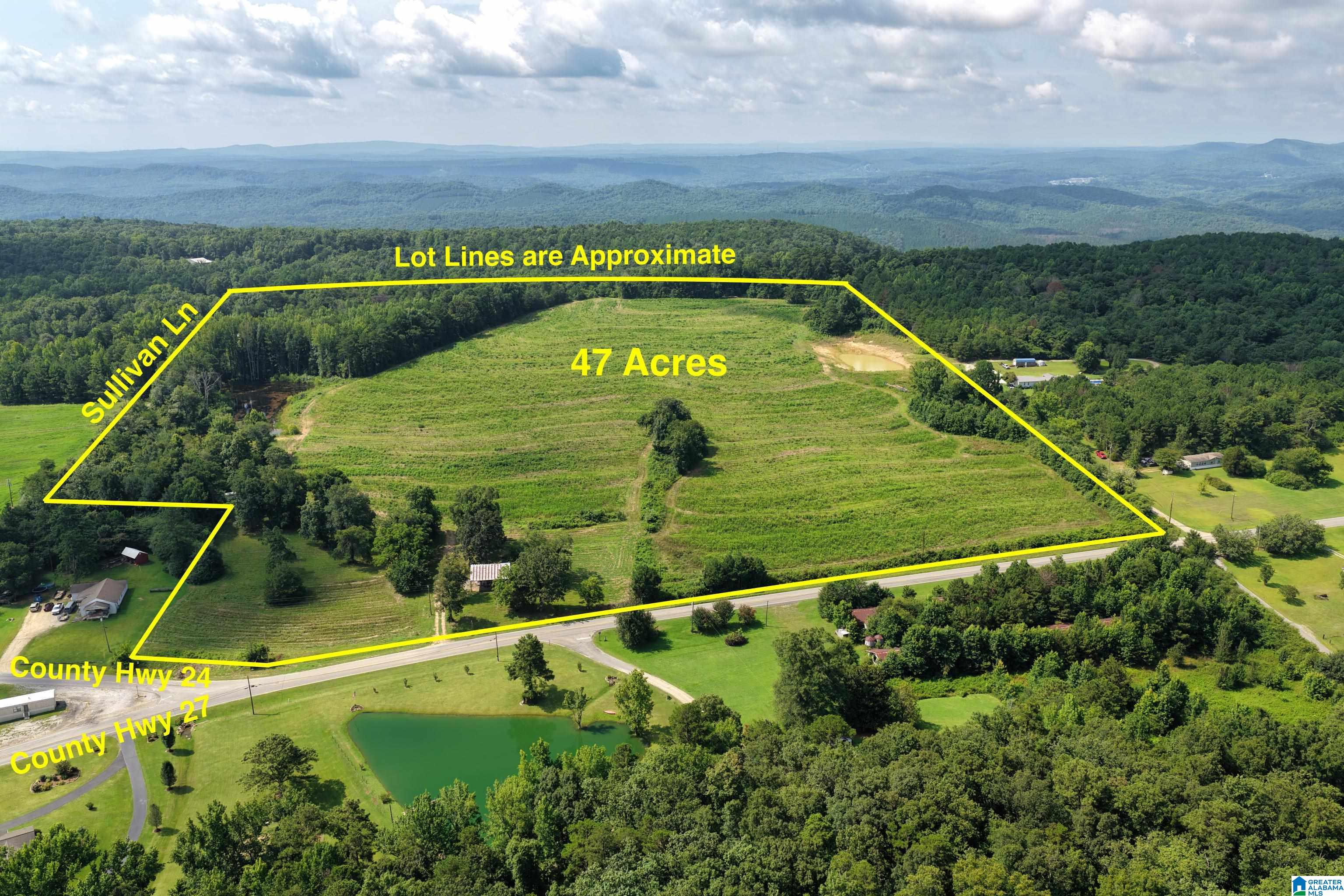 0 County Highway 27, Unit 47 Springville, AL 35146 - Photo 1 of 53