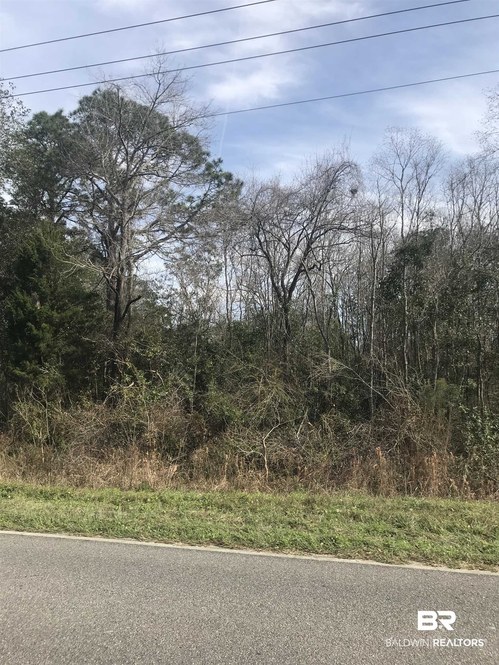 0 Steadham Lane Robertsdale, AL 36567 - Photo 23 of 24