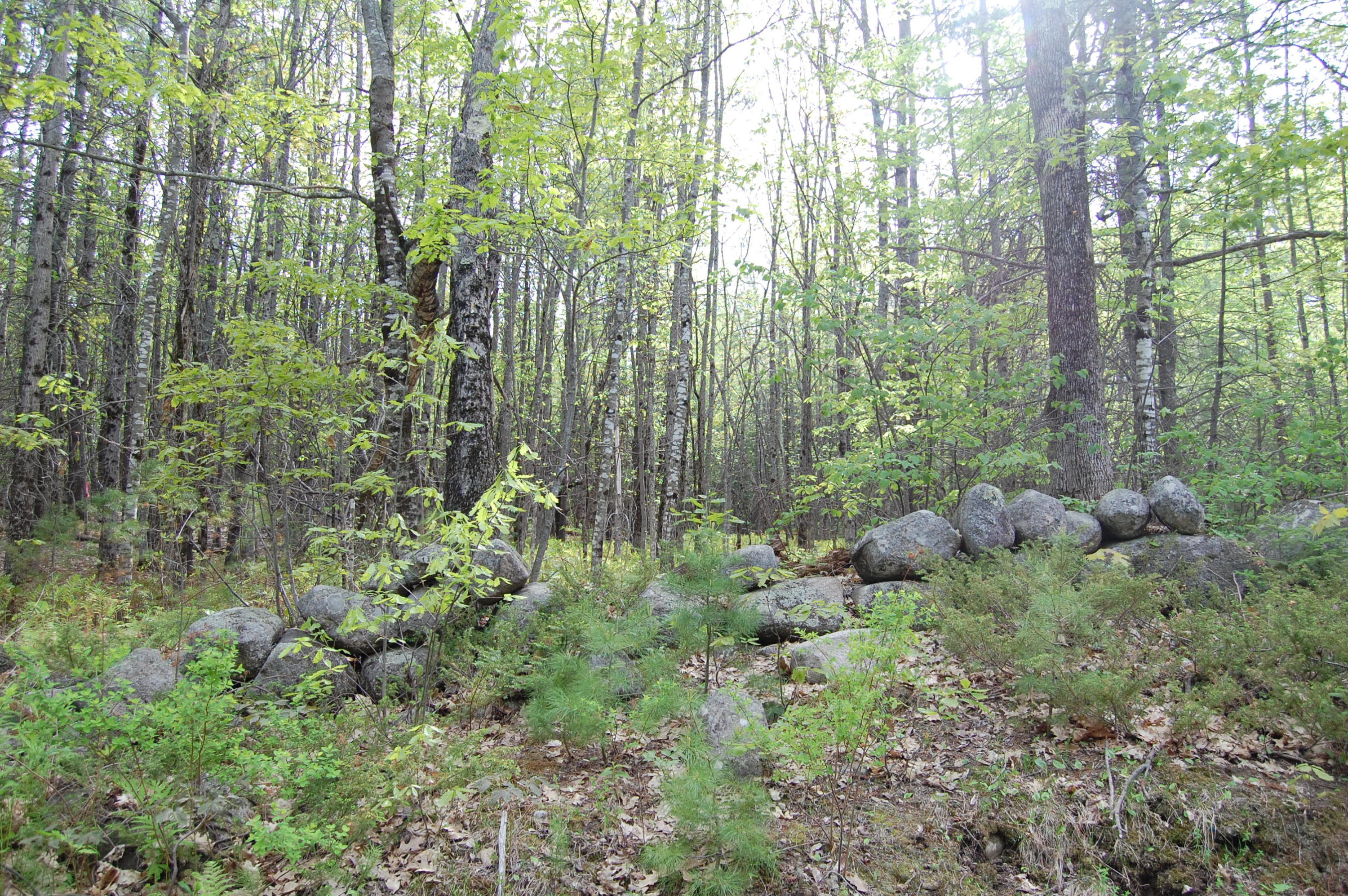Lot A Cobb Hill Road Otisfield, ME 04270 - Photo 10 of 10 DSC_1023
