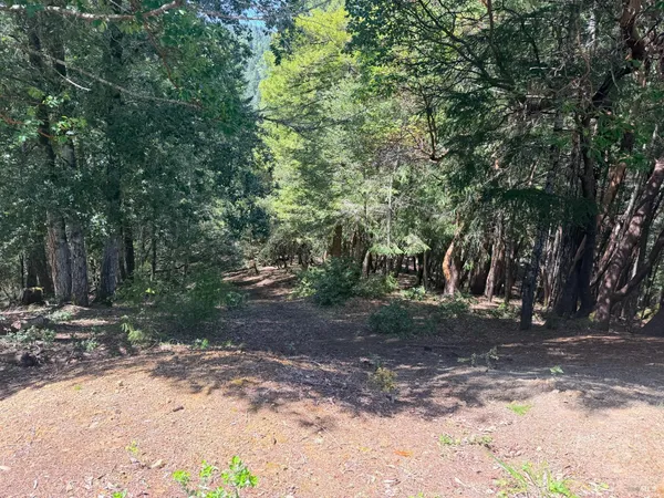 $3,500 | 24193 Willow Lane, Willits, CA 95490