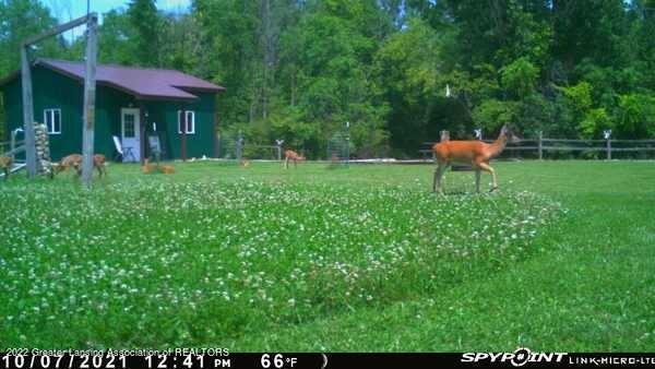 1285 West Wilson Road Perrinton, MI 48871 - Photo 17 of 51 1285 West Wilson Road Perrinton MI-113 (