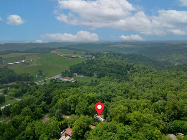 a view of a green yard with lots of green space