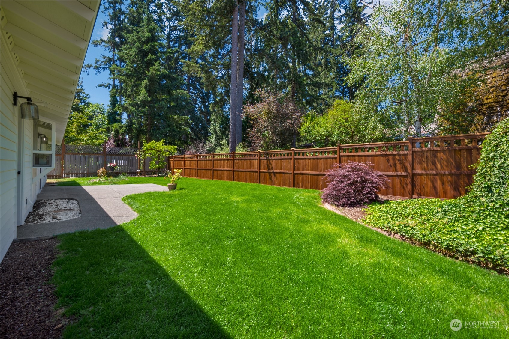 14545 166th Place Southeast Renton, WA 98059 - Photo 24 of 28 a view of a backyard with plants and large trees