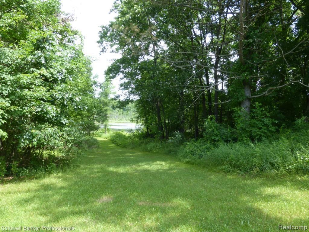 11350 Clark Road Davisburg, MI 48350 - Photo 46 of 46 walk to lake.jpg