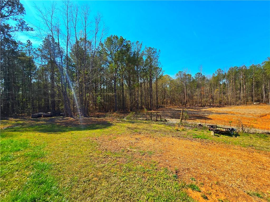 2001 Rocky Creek Road Mansfield, GA 30055 - Photo 25 of 60