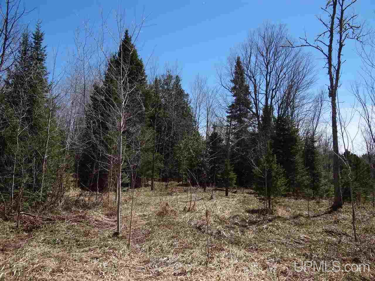 Tbd Johnson Road Pelkie, MI 49958 - Photo 10 of 18 Gallery Image 10