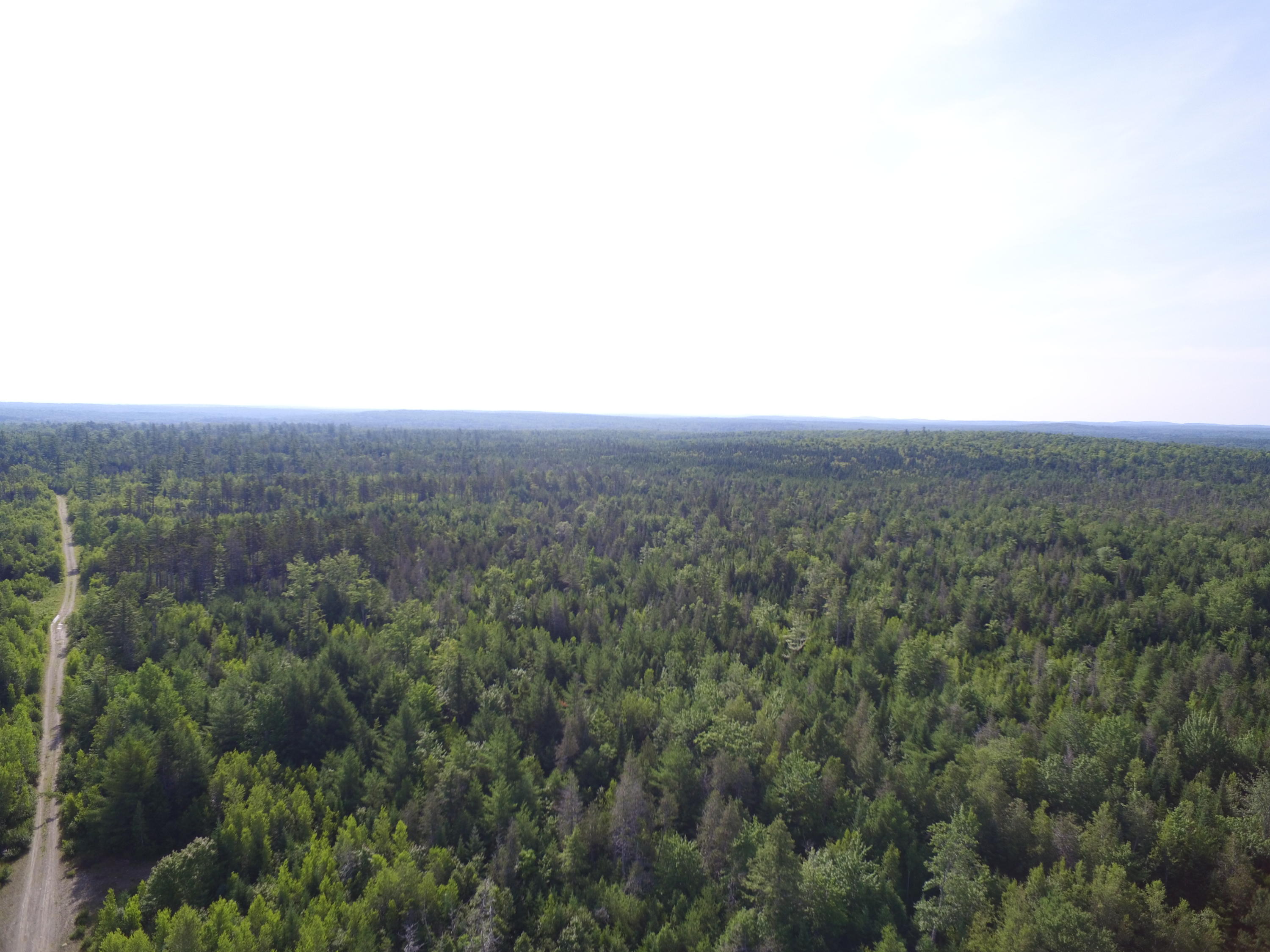 Tbd West Tbd W Indian Road Lincoln, ME 04457 - Photo 11 of 18 DJI_0470