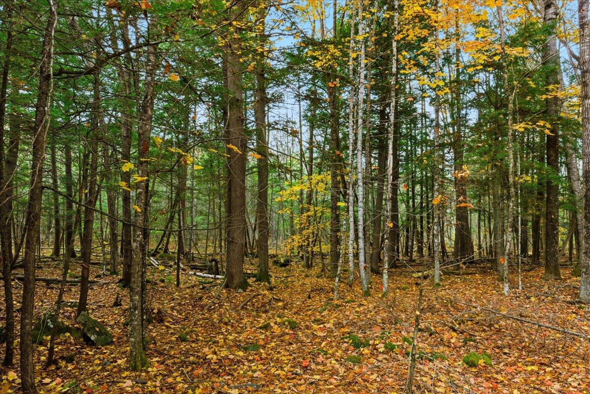 782 Main Street Wayne, ME 04284 - Photo 35 of 36 12-782 Main St_Wayne_ME-37