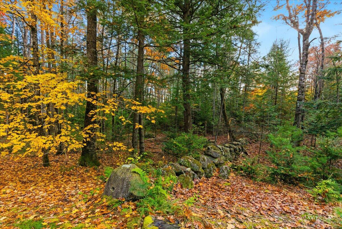 782 Main Street Wayne, ME 04284 - Photo 5 of 36 07-782 Main St_Wayne_ME-42