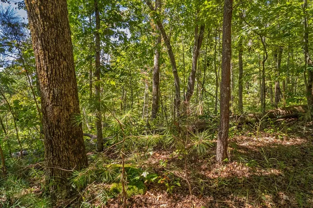 $59,999 | Lot 1 Harris Branch Road, Ellijay, GA 30540
