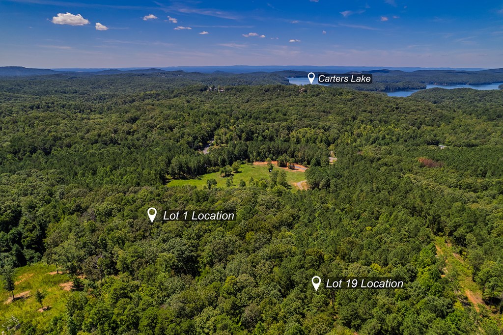 Lot 1 Harris Branch Road Ellijay, GA 30540 - Photo 5 of 16 a view of a lush green forest