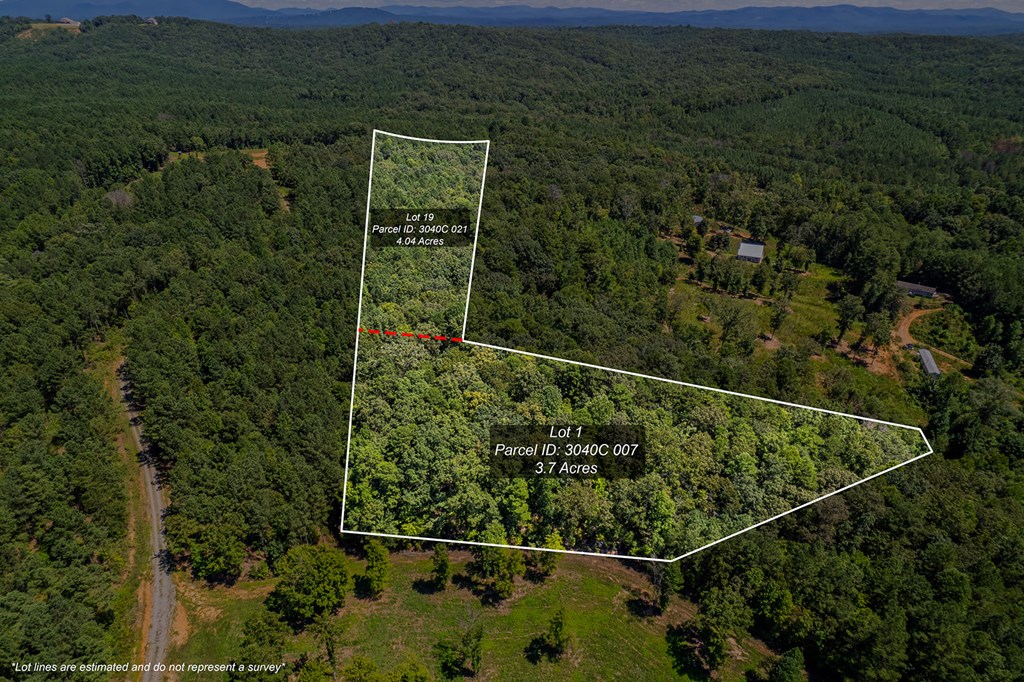 Lot 1 Harris Branch Road Ellijay, GA 30540 - Photo 8 of 16 a view of a forest