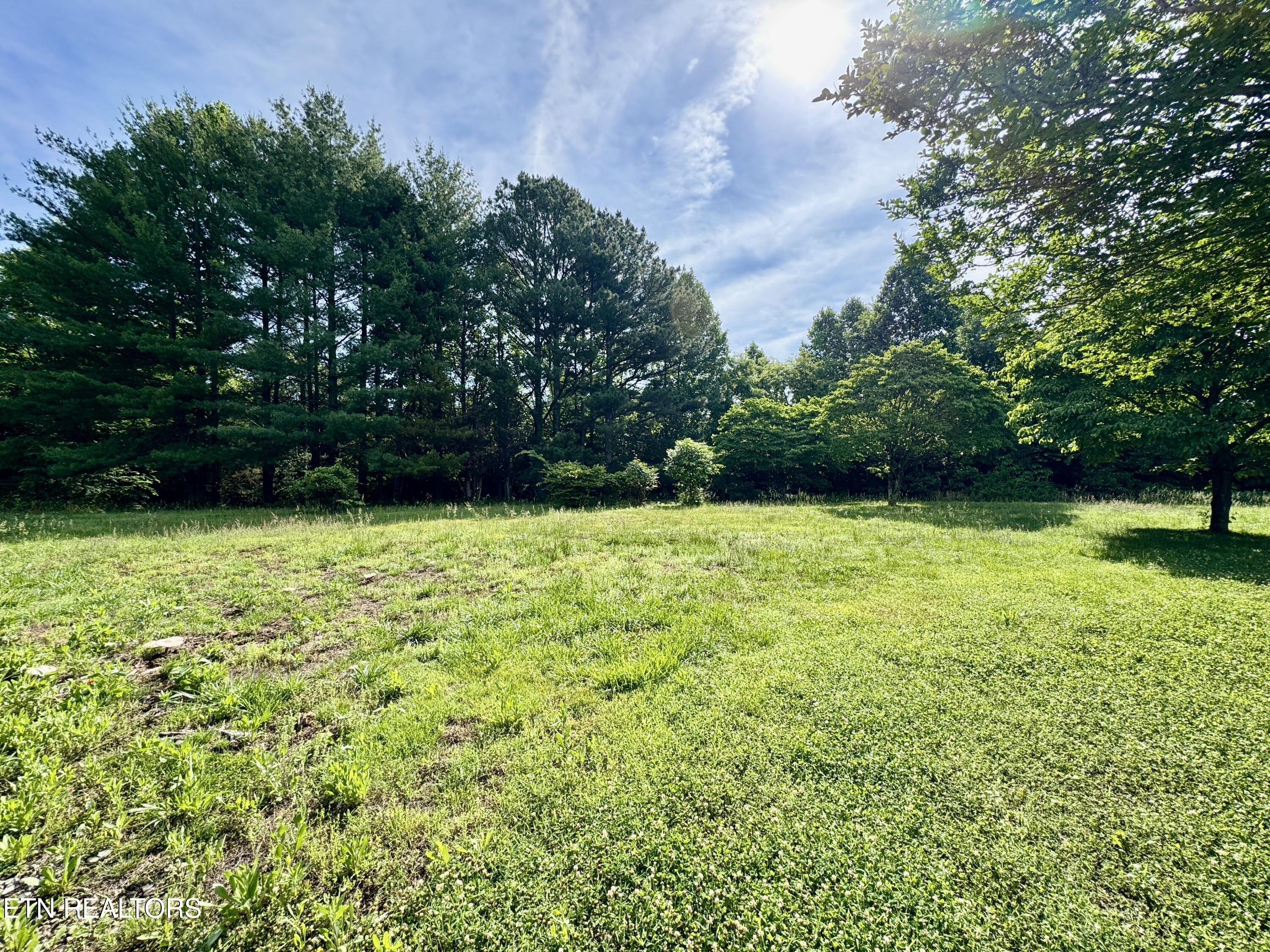529 Peanut Road Parrottsville, TN 37843 - Photo 15 of 54 1-15