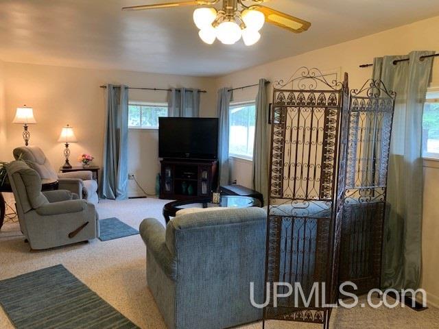 2060 East Co Road Little Lake, MI 49833 - Photo 3 of 19
