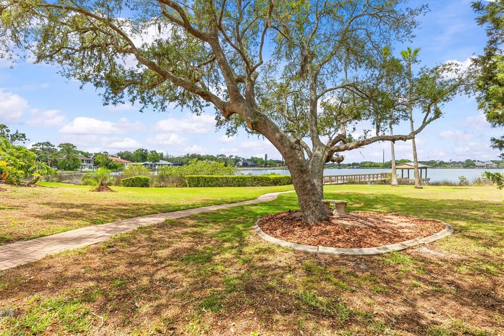 948 Riverside Ridge Road Tarpon Springs, FL 34688 - Photo 55 of 68 Gallery Image 55