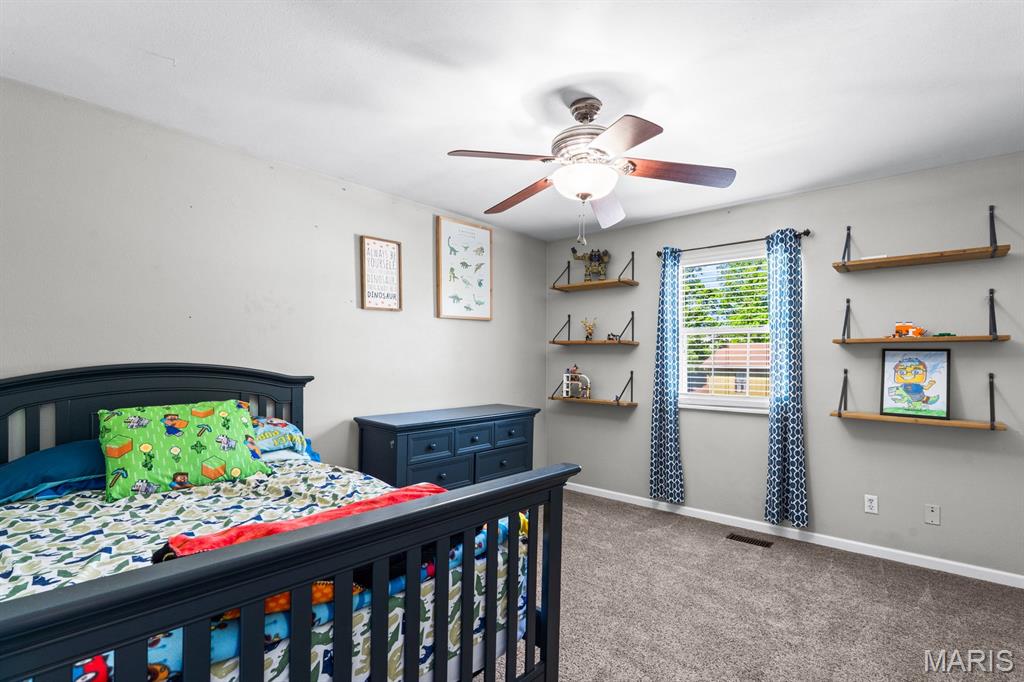 34 Ramona Drive Shiloh, IL 62221 - Photo 35 of 54