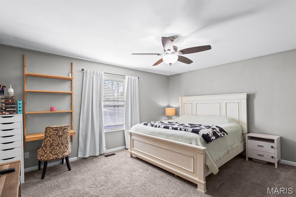 34 Ramona Drive Shiloh, IL 62221 - Photo 37 of 54