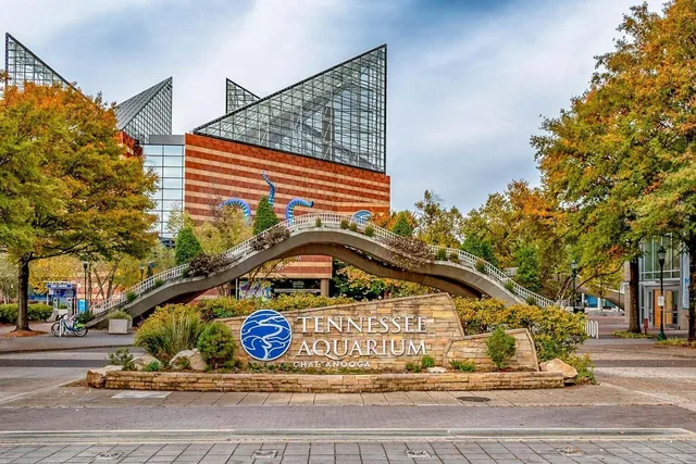 $2,900 | 4 Cherokee Blvd., Unit 314, Chattanooga, TN 37405