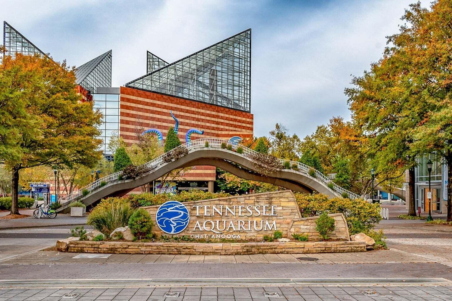 4 Cherokee Blvd., Unit 314 Chattanooga, TN 37405 - Photo 49 of 62 Aquarium across the river