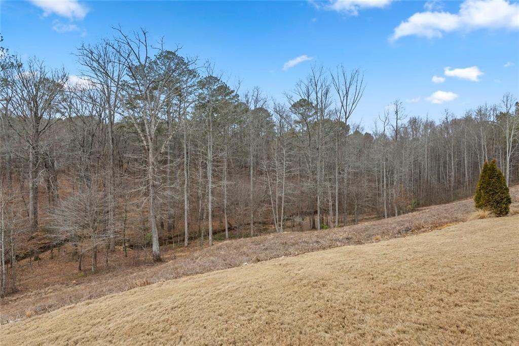 351 Grand Circle Jasper, GA 30143 - Photo 40 of 53