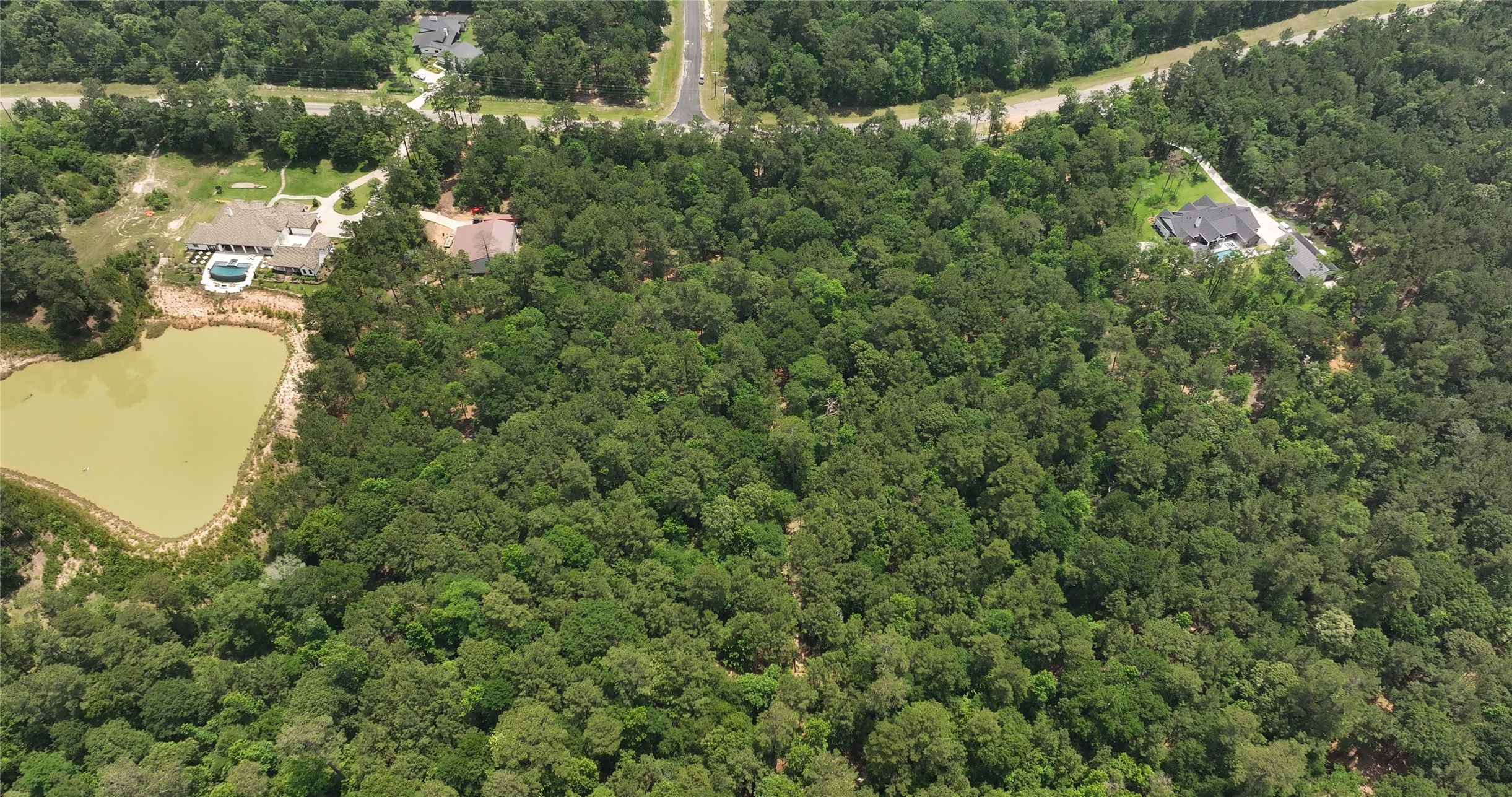 167 B Winchester Road Huntsville, TX 77340 - Photo 14 of 25 a view of a forest with a houses