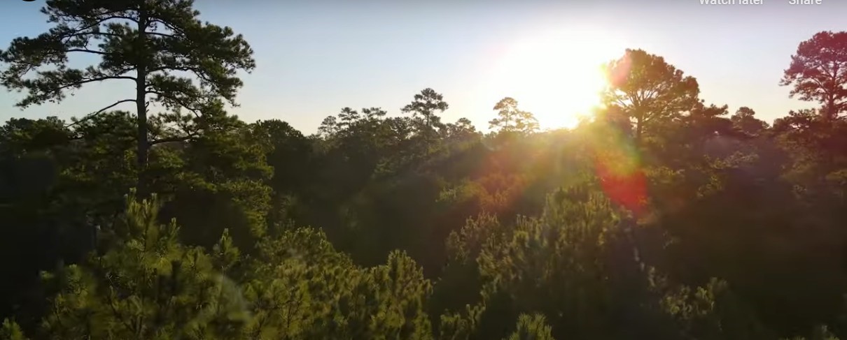 167 B Winchester Road Huntsville, TX 77340 - Photo 24 of 25 a view of a city