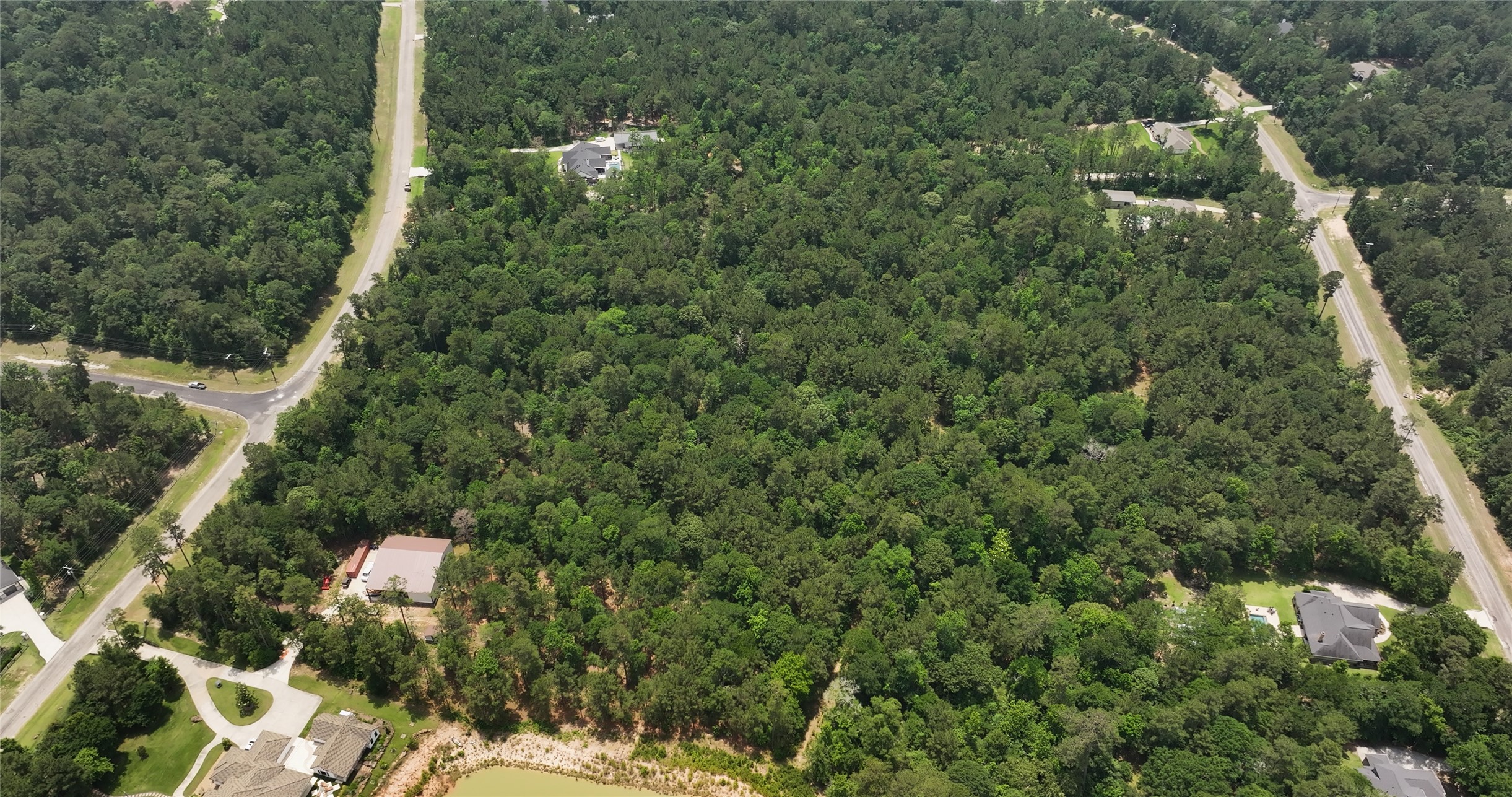 167 B Winchester Road Huntsville, TX 77340 - Photo 10 of 25 a view of a forest with a houses