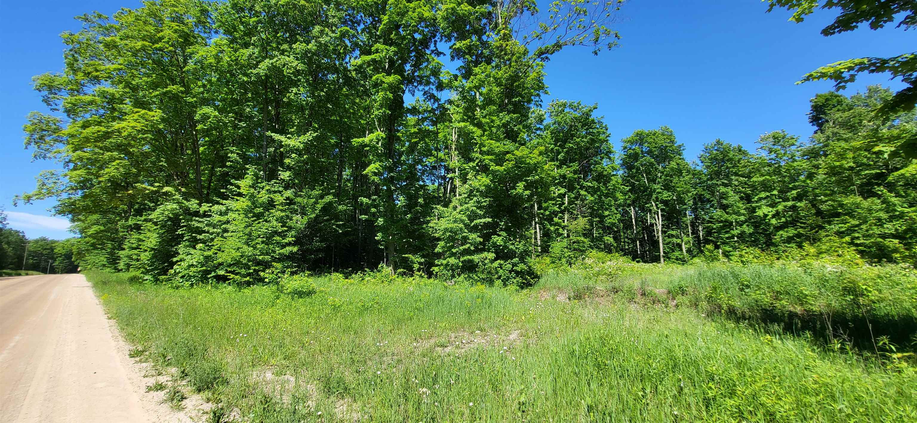 Tbd Bocook Road Mancelona, MI 49659 - Photo 21 of 46