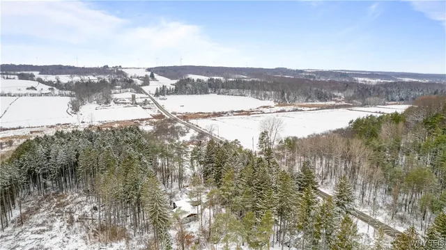 $175,000 | 2040 Schwab Road, Sheldon, NY 14167