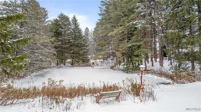 $175,000 | 2040 Schwab Road, Sheldon, NY 14167