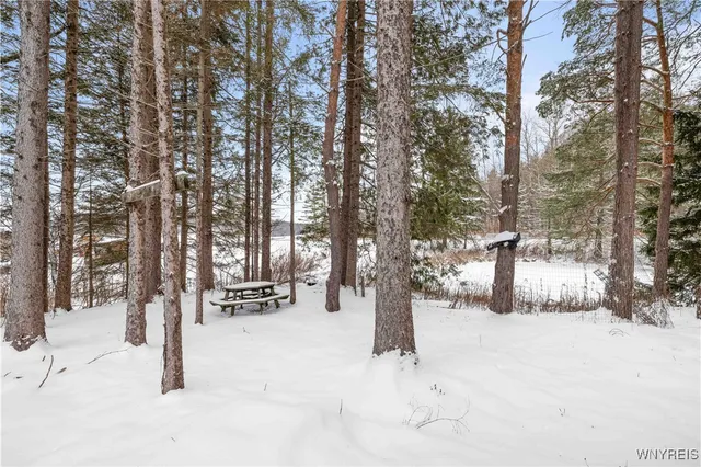 $175,000 | 2040 Schwab Road, Sheldon, NY 14167