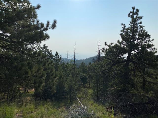 319 Forest Road Manitou Springs, CO 80829 - Photo 6 of 8 Gallery Image 6