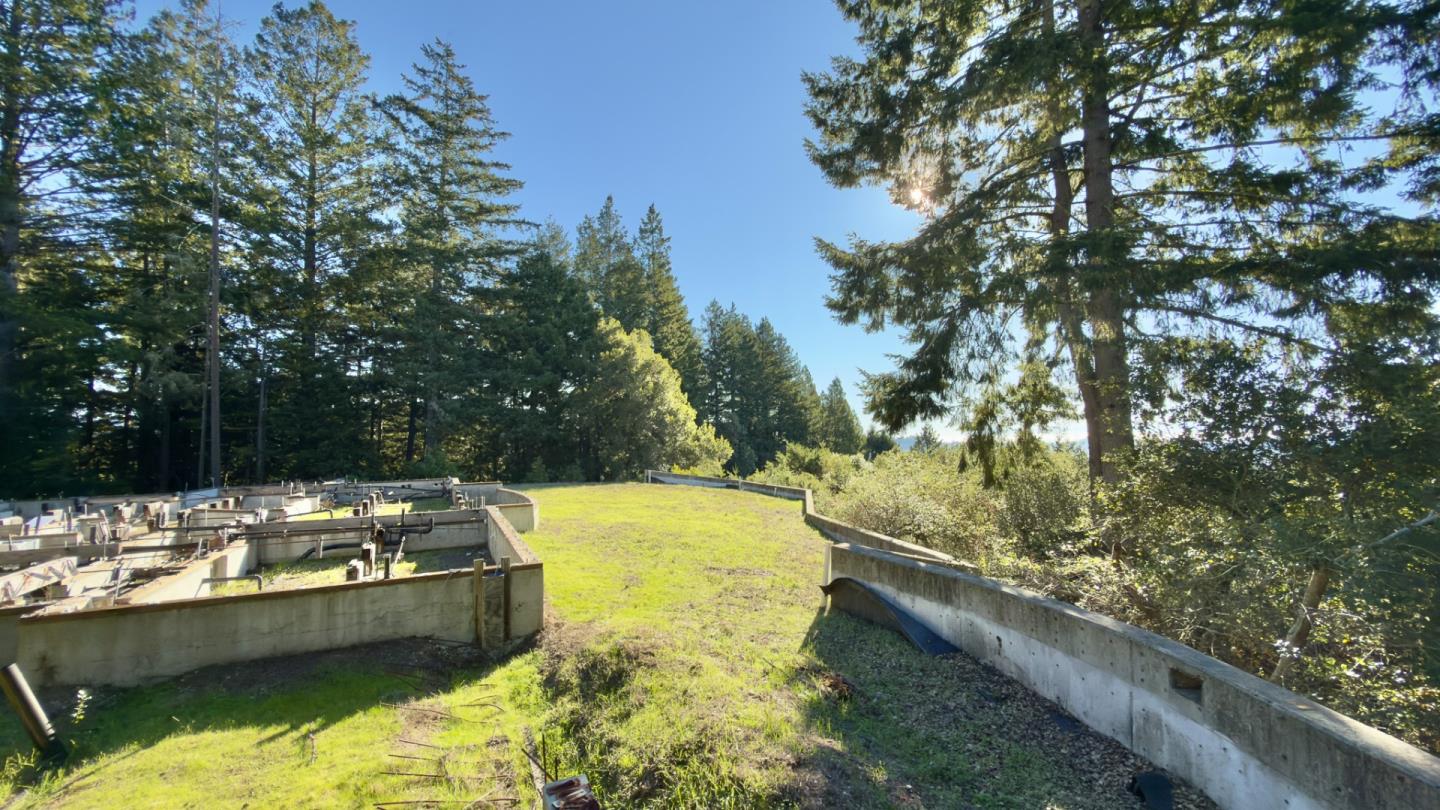 1374 Weston Ridge Road Scotts Valley, CA 95066 - Photo 14 of 23