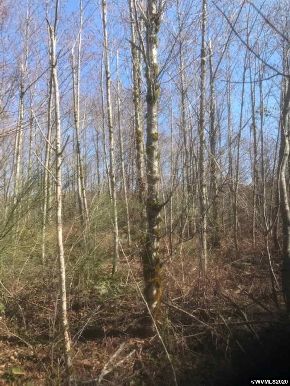 Northwest Smoke Ranch Road Scappoose, OR 97056 - Photo 3 of 10