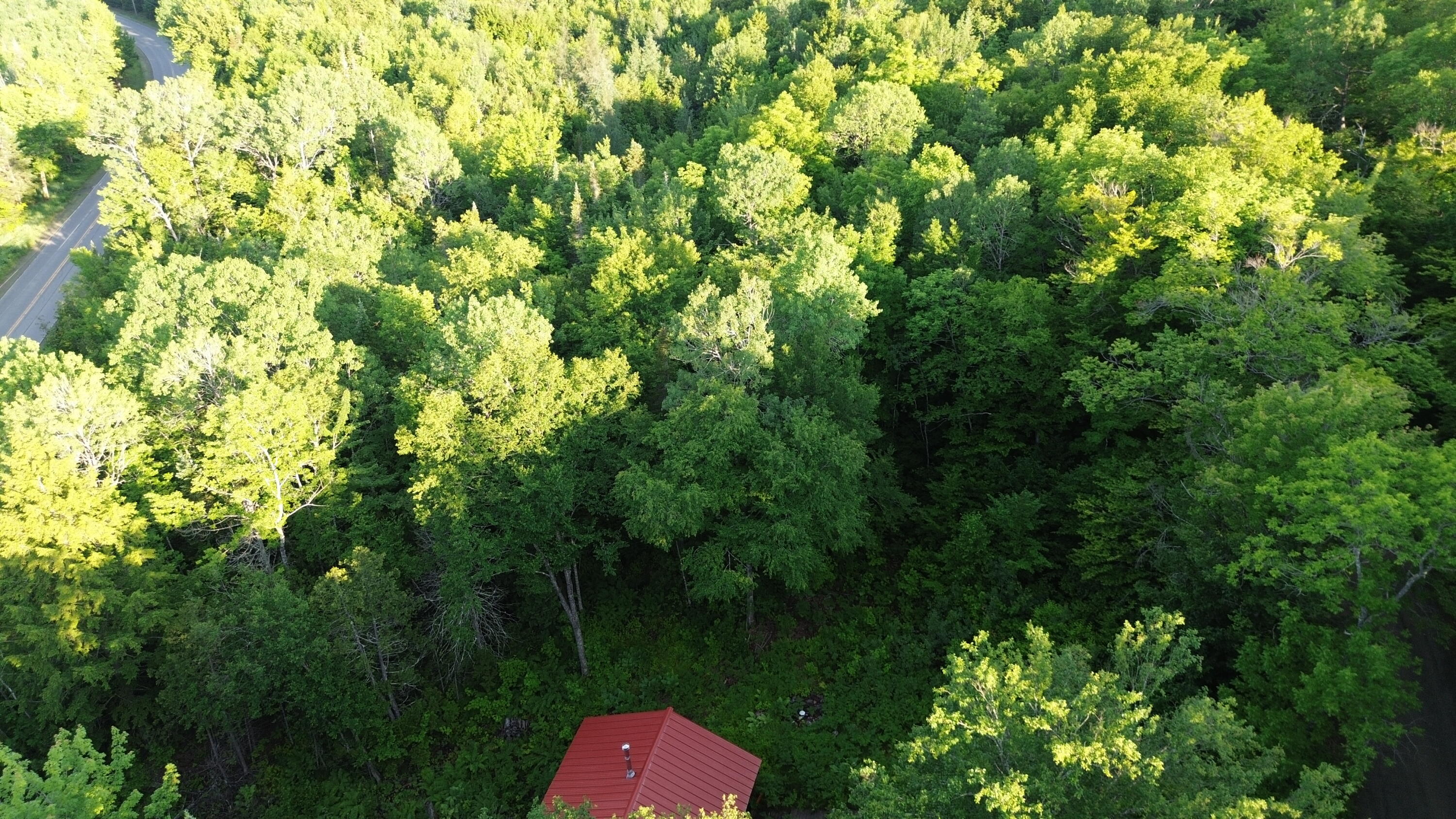 24a Anson Valley Road New Vineyard, ME 04956 - Photo 92 of 93 DJI_0106