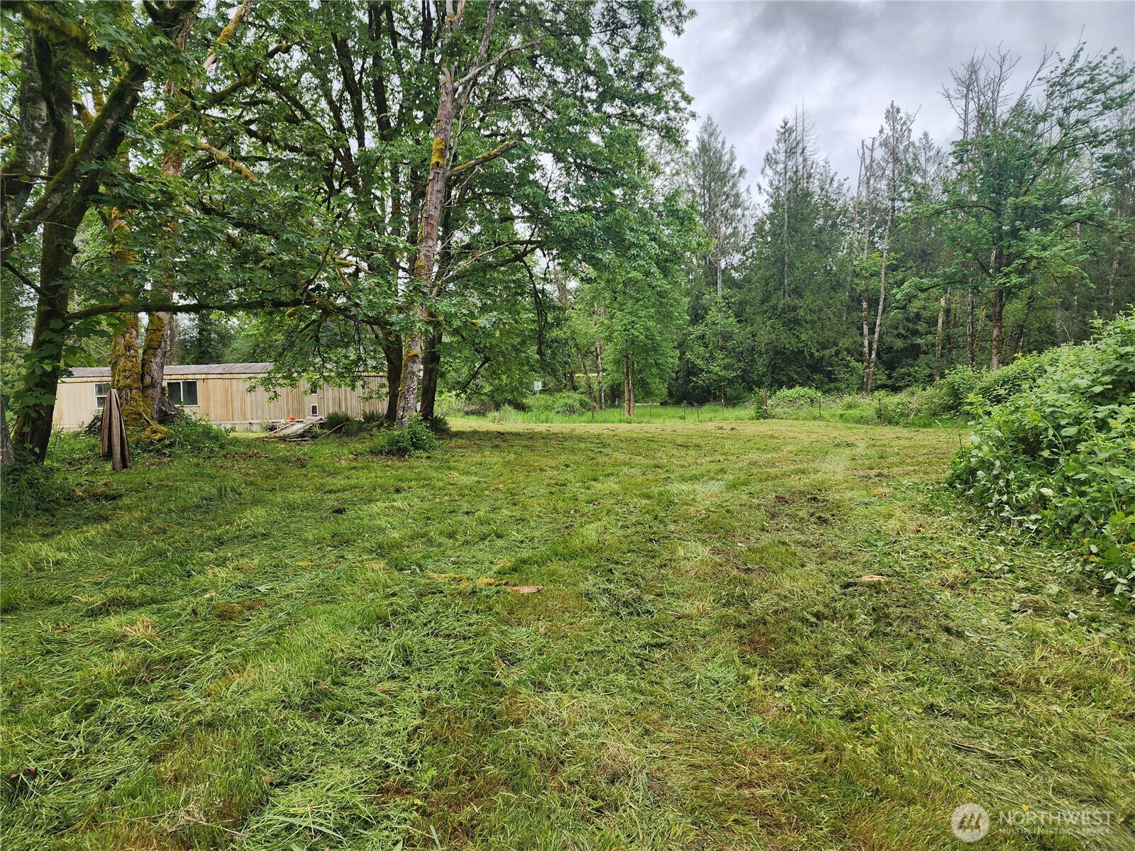 3758 Centralia Alpha Road Onalaska, WA 98570 - Photo 25 of 37
