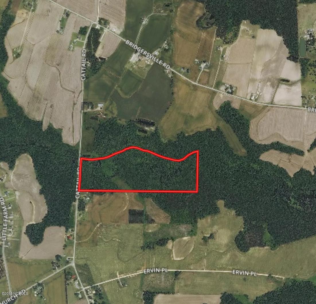 44 Ac Off Cattail Road Elm City, NC 27822 - Photo 12 of 12 Webb, Wilbur and Ina-2.13.18-Snippet