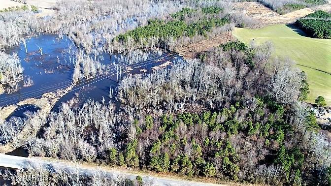 44 Ac Off Cattail Road Elm City, NC 27822 - Photo 4 of 12 04