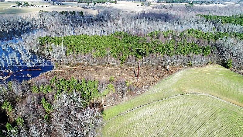 44 Ac Off Cattail Road Elm City, NC 27822 - Photo 5 of 12 05