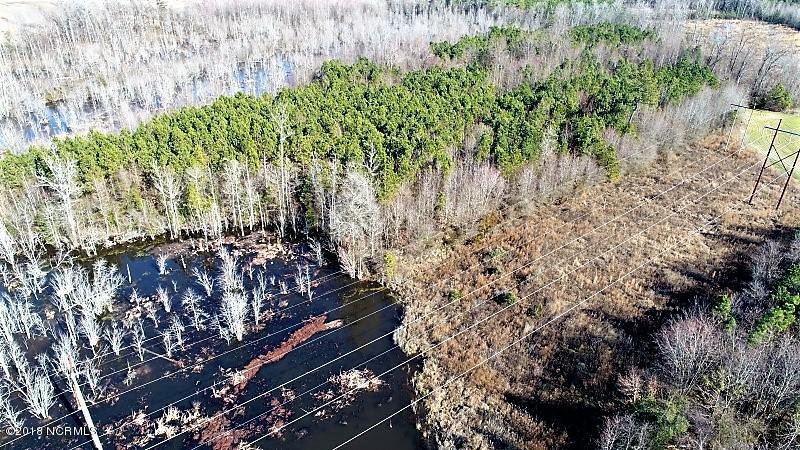 44 Ac Off Cattail Road Elm City, NC 27822 - Photo 6 of 12 06