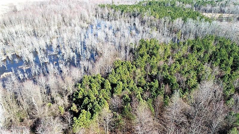 44 Ac Off Cattail Road Elm City, NC 27822 - Photo 8 of 12 08
