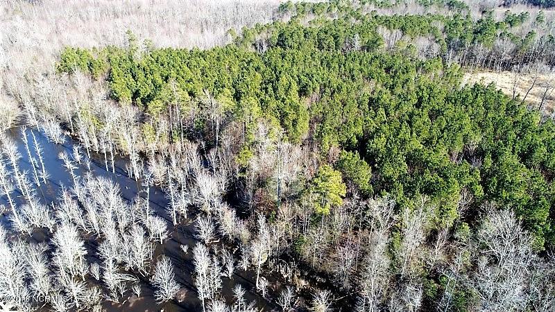 44 Ac Off Cattail Road Elm City, NC 27822 - Photo 9 of 12 10