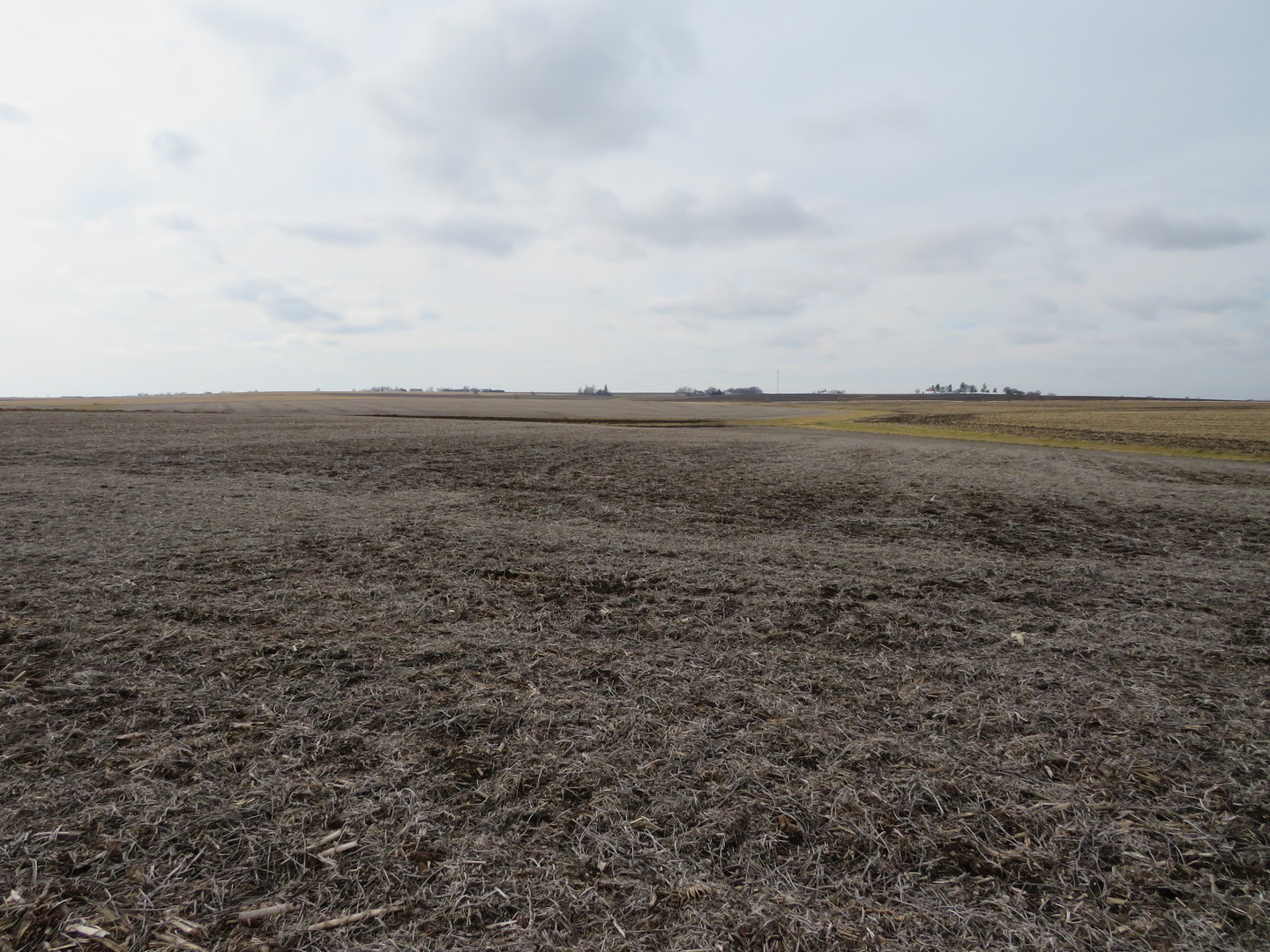 0 North Moore Road Lindenwood, IL 61049 - Photo 10 of 12 a view of an ocean