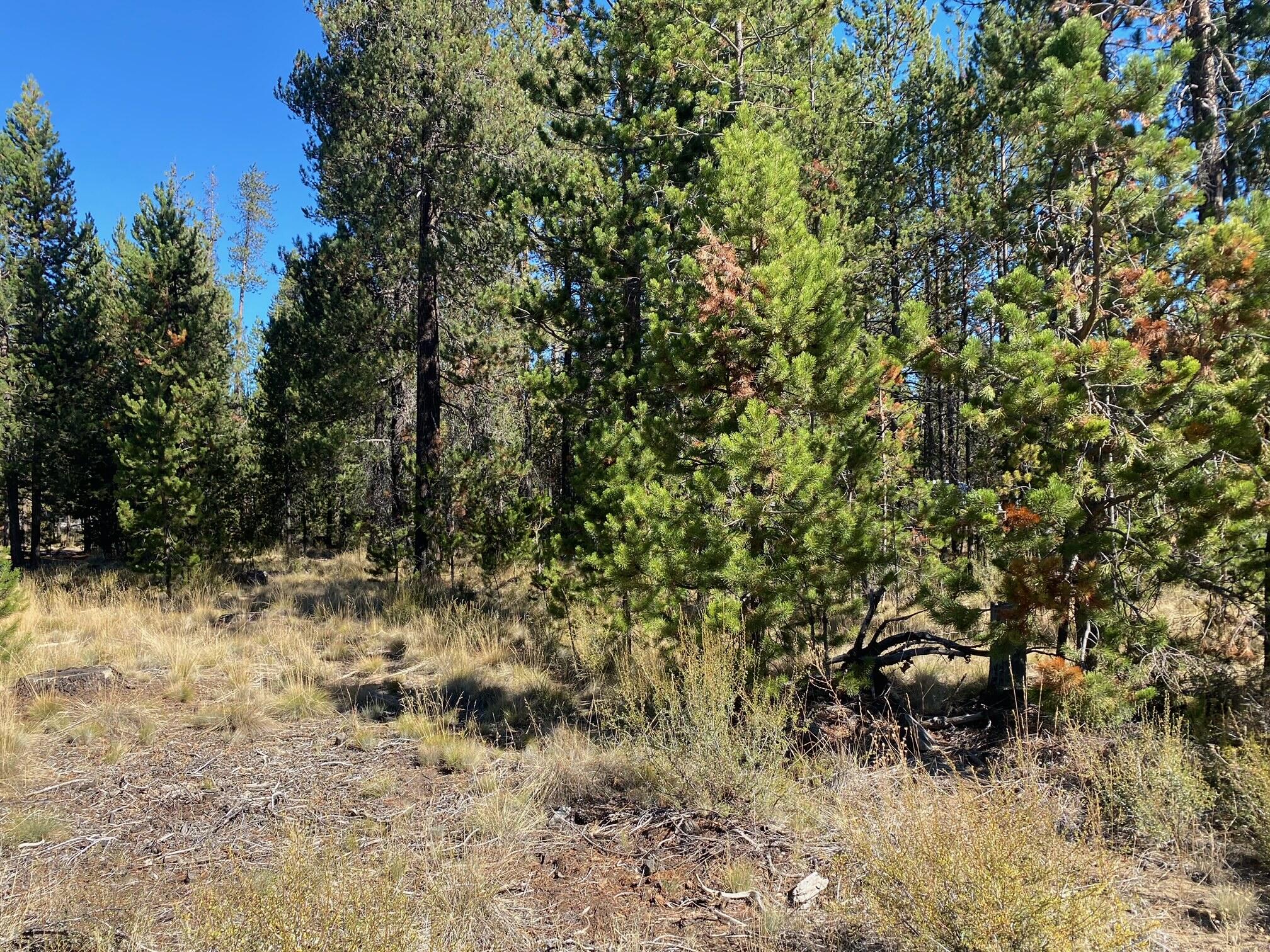 17266 Tholstrup Road Bend, OR 97707 - Photo 1 of 11 image7