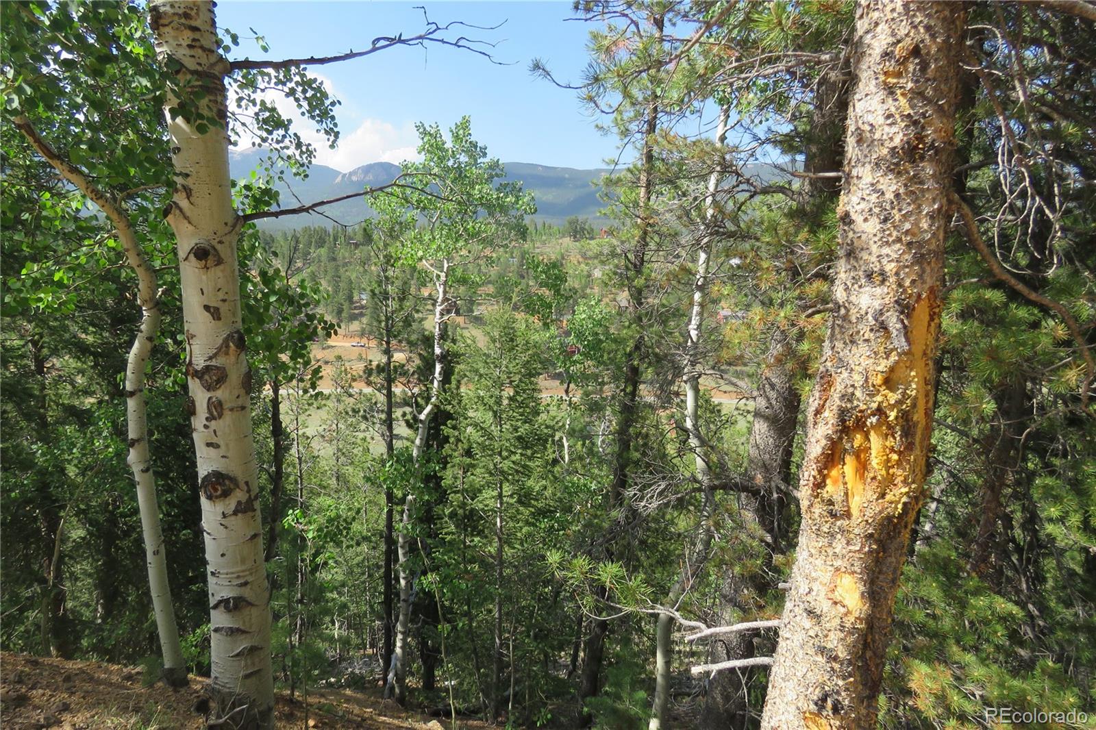 413 Wise Road Bailey, CO 80421 - Photo 1 of 19 Gallery Image 1