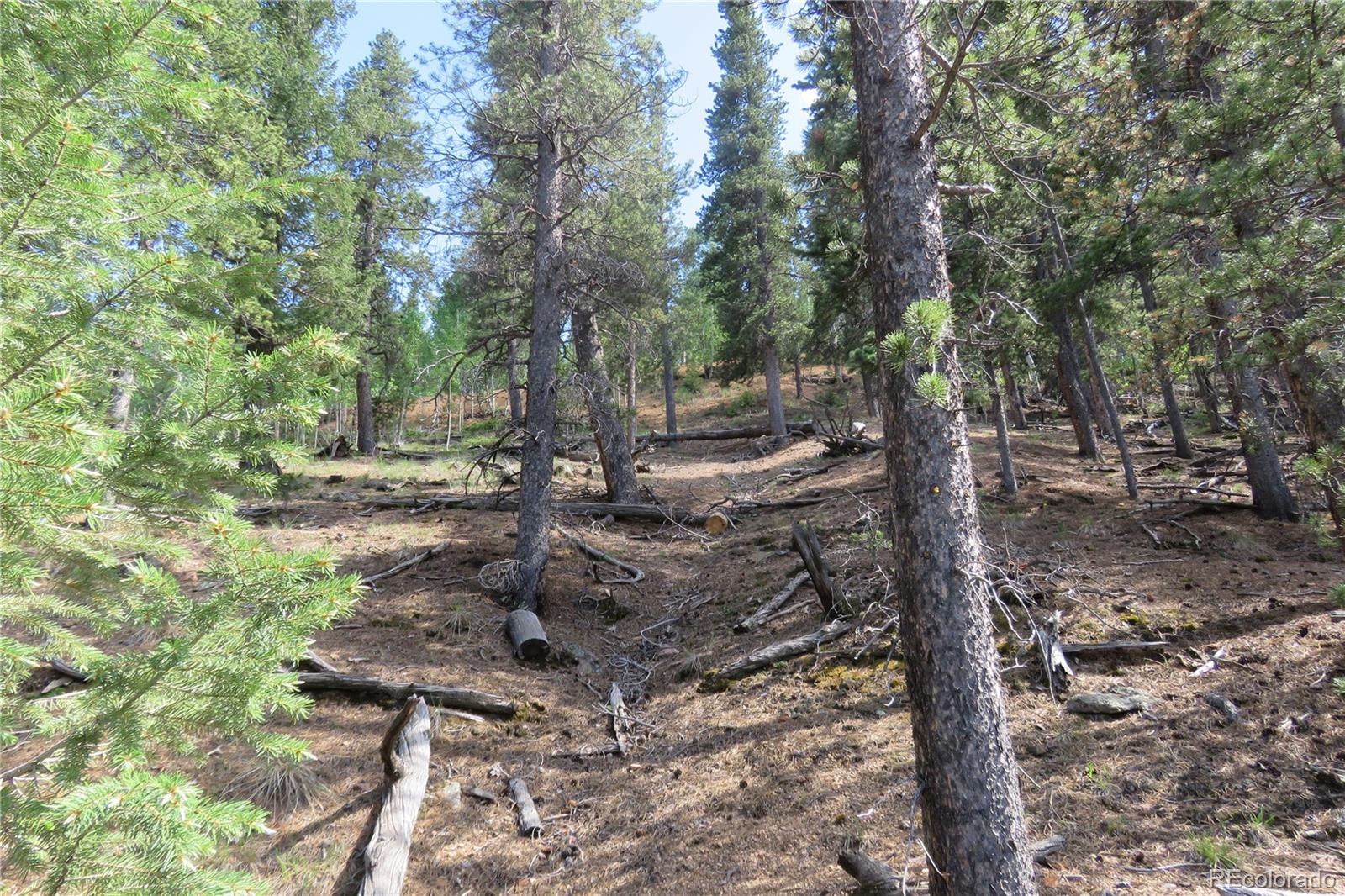 413 Wise Road Bailey, CO 80421 - Photo 11 of 19 Gallery Image 11
