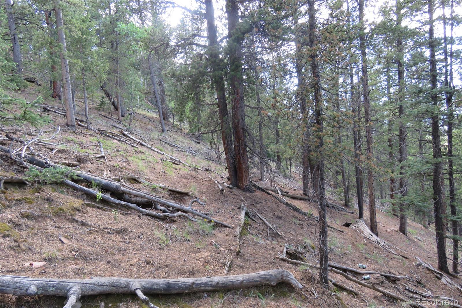 413 Wise Road Bailey, CO 80421 - Photo 12 of 19 Gallery Image 12